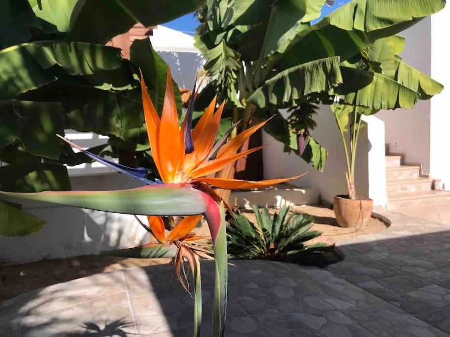 Gezellige Villa Met Prachtig Zicht En Zwembad Arona  Exteriér fotografie
